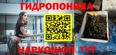 дмт Кинель