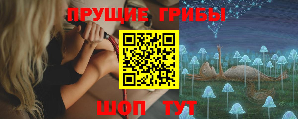 Псилоцибиновые грибы мухоморы  Псилоцибиновые грибы Cubensis  где купить наркотик  Вход с VPN  Ульяновск 